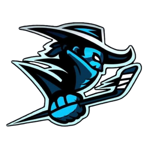 Blackburn Renegades logo